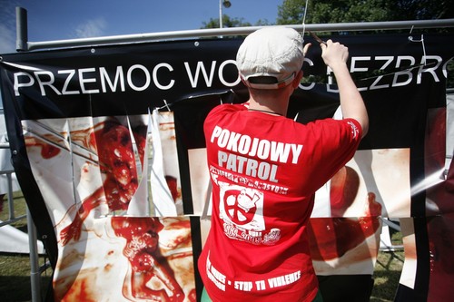 poland 5.JPG
